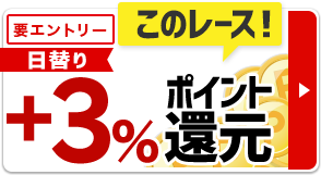 日替りキャンペーンで10％ポイント還元！