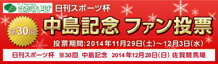 第30回中島記念ファン投票キャンペーン（投票期間：2014年11月29日～12月3日）