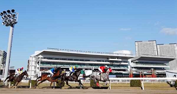 川崎競馬場 ガイド 楽天競馬