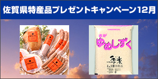 【佐賀】佐賀特産品「田嶋ハムの特撰詰合せ TH35B」「夢しずく 4.5kg」