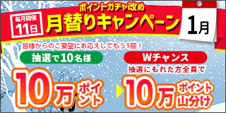 【毎月11日開催】月替りキャンペーン（1月）