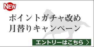 【毎月11日開催】月替りキャンペーン（1月）
