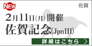 ダートグレード競走：佐賀記念（2019）特集ページ