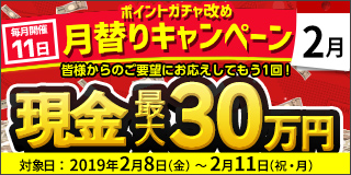 【毎月11日開催】月替りキャンペーン（2月）