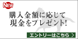 【毎月11日開催】月替りキャンペーン（2月）