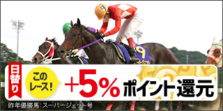 佐賀重賞競走：第61回 九州ダービー栄城賞 特集ページ