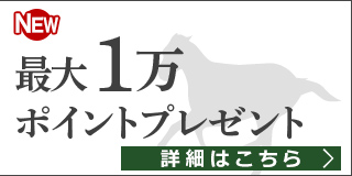 ダービーシリーズ2019