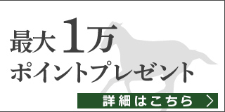 ダービーシリーズ2019