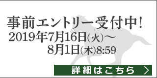 2019夏の陣争奪戦（事前エントリー）