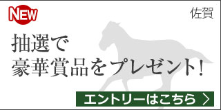 サマーチャンピオン　プレゼントキャンペーン