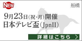 ダートグレード競走：日本テレビ盃（2019）特集ページ