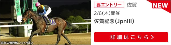 ダートグレード競走：佐賀記念（2025）特集ページ