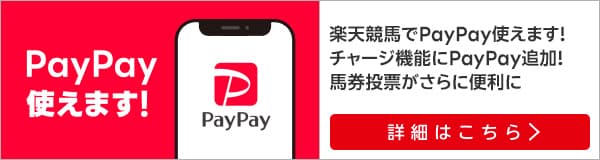 PayPayリリースのサービスページ