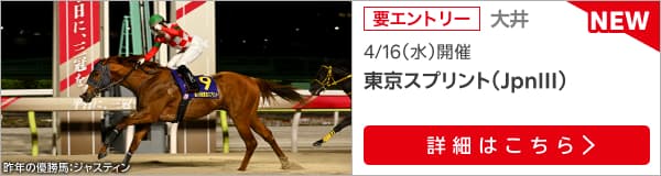 ダートグレード競走：東京スプリント（2025）特集ページ