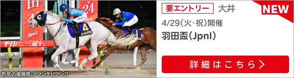 ダートグレード競走：羽田盃（2025）特集ページ