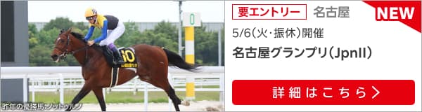 ダートグレード競走：名古屋グランプリ（2025）特集ページ