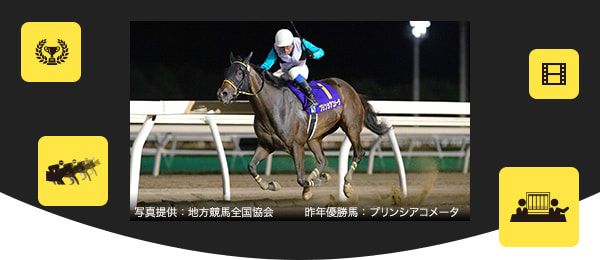 昨年のブリーダーズゴールドカップ優勝馬